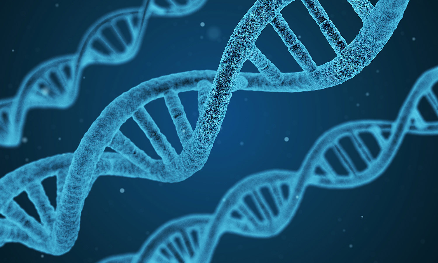 Sciences de la vie